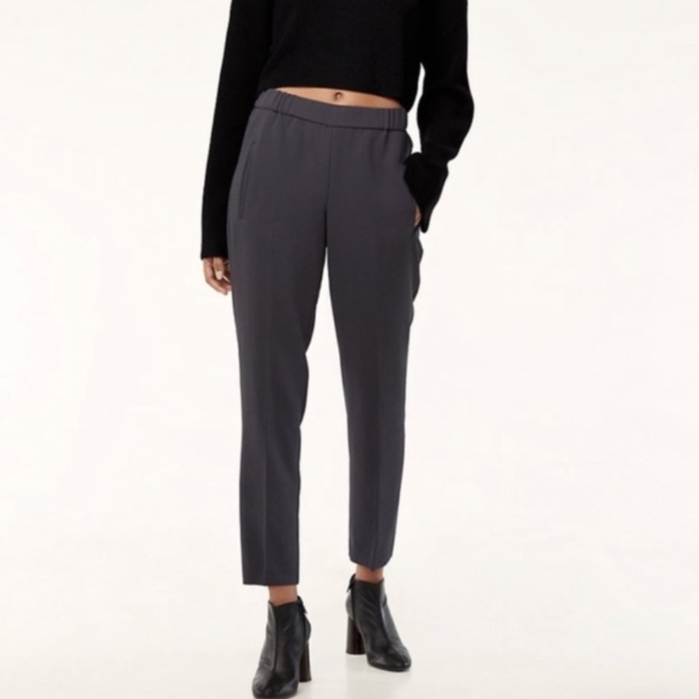 Aritzia Darontal Pant in Grey